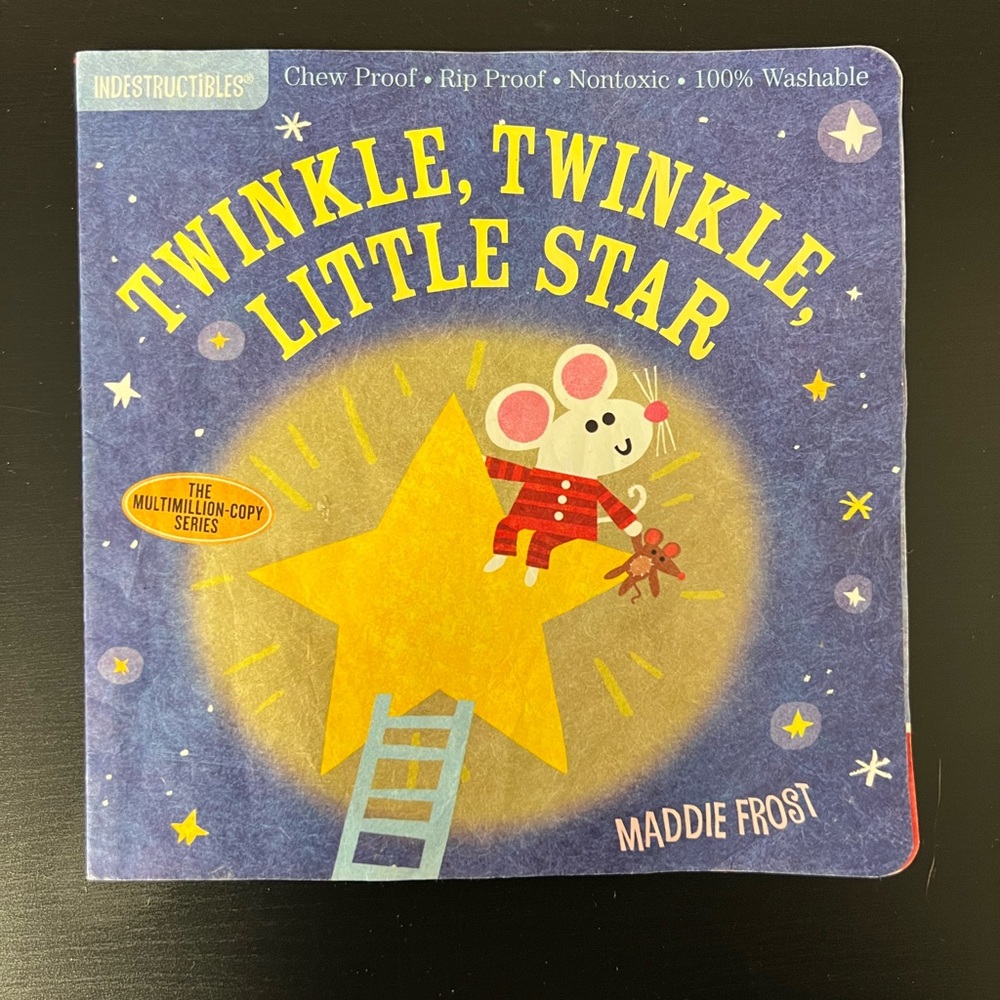 A LOT of 10 INDESTRUCTIBLES- Books...AMAZING FOR TEETHING! A Serious Must Have! - Picture 9 of 12